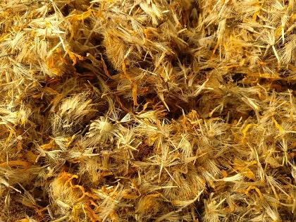 hojas secas de arnica