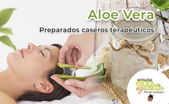 usos propiedades aloe vera