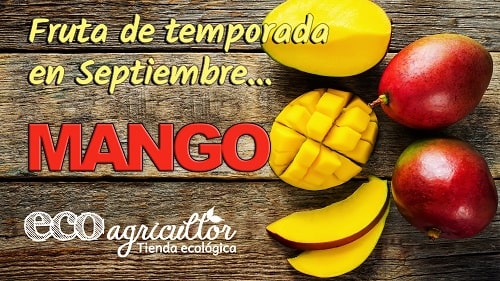 mango propiedades