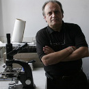 estudios cientificos glifosato transgenicos agrotoxicos1