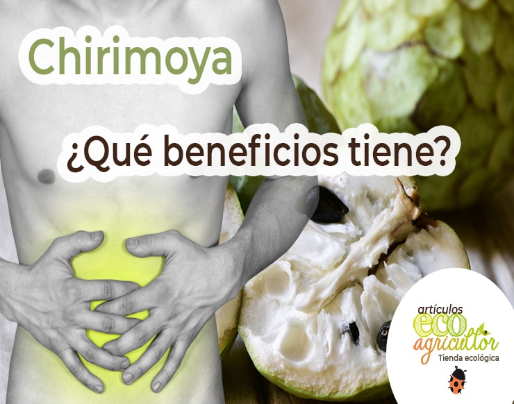 Chirimoya propiedades