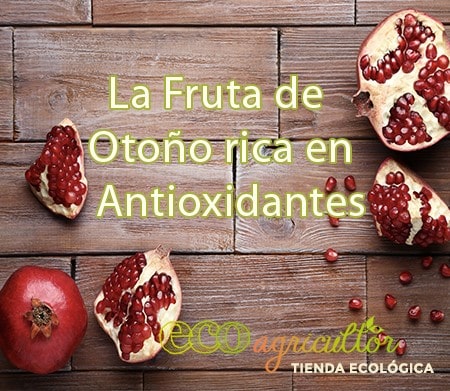 granadas propiedades