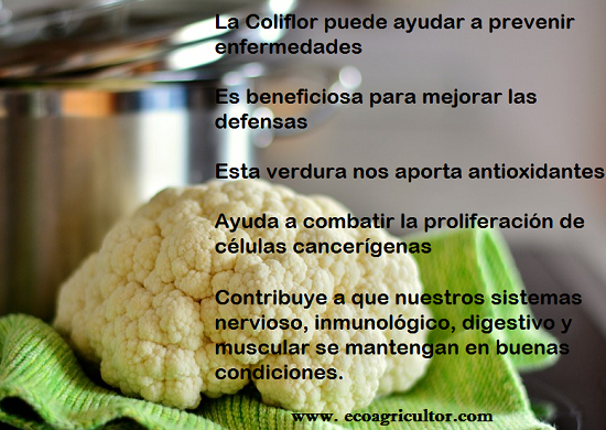beneficios coliflor