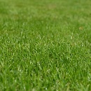 maquinaria jardin