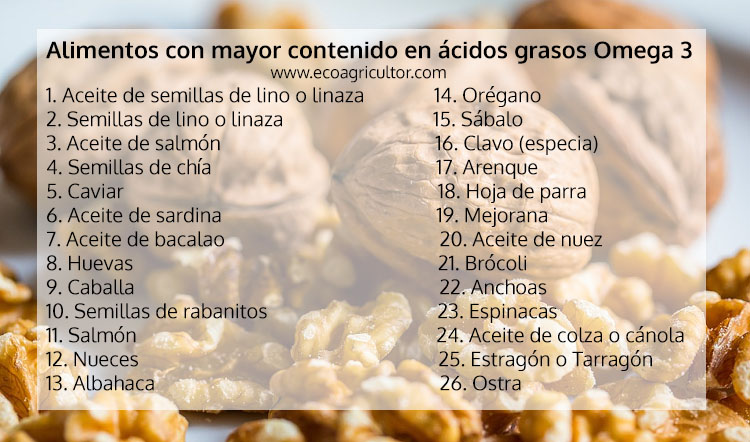 alimentos omega 3