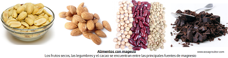 alimentos ricos en magnesio