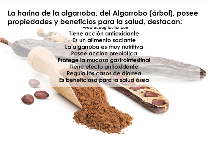 harina algarroba
