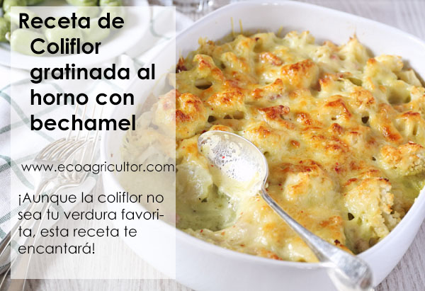 receta coliflor horno