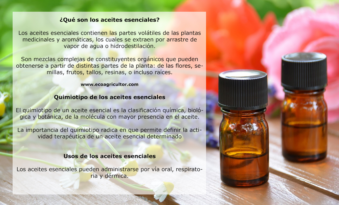 aceites esenciales propiedades