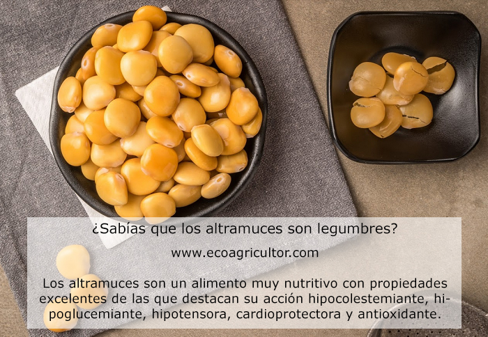 altramuces propiedades