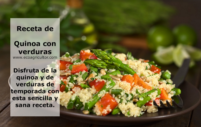 receta quinoa