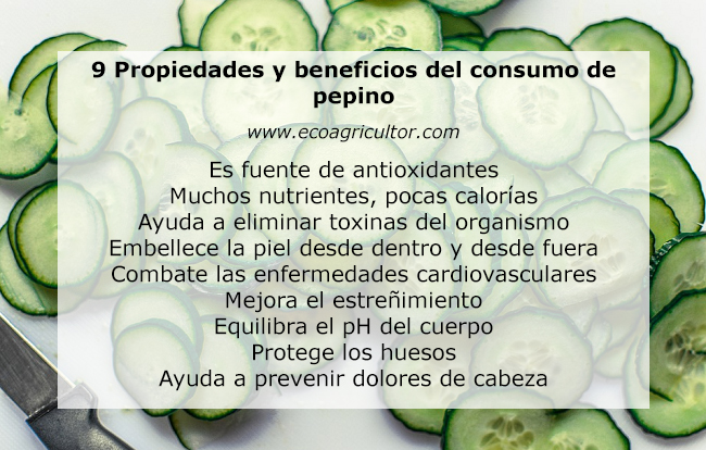 pepino propiedades
