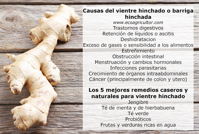 vientre hinchado remedios