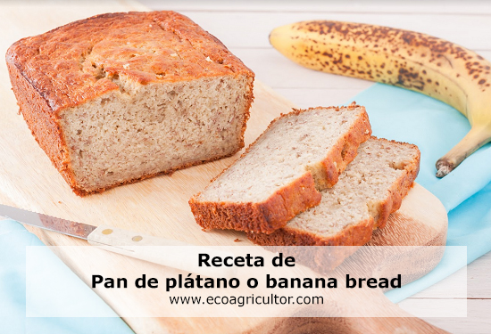 banana bread receta