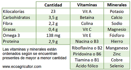 espinaca nutrientes