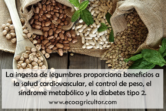 legumbres beneficios