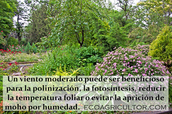 rompevientos