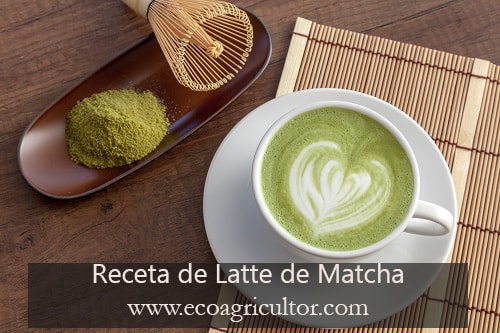 receta matcha