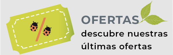 Últimas ofertas
