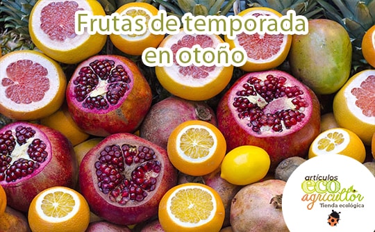 frutas temporada otoño