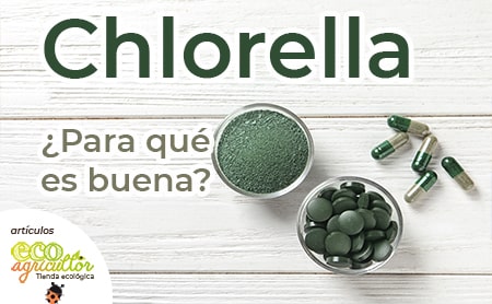 chlorella usos