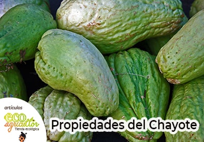 chayote